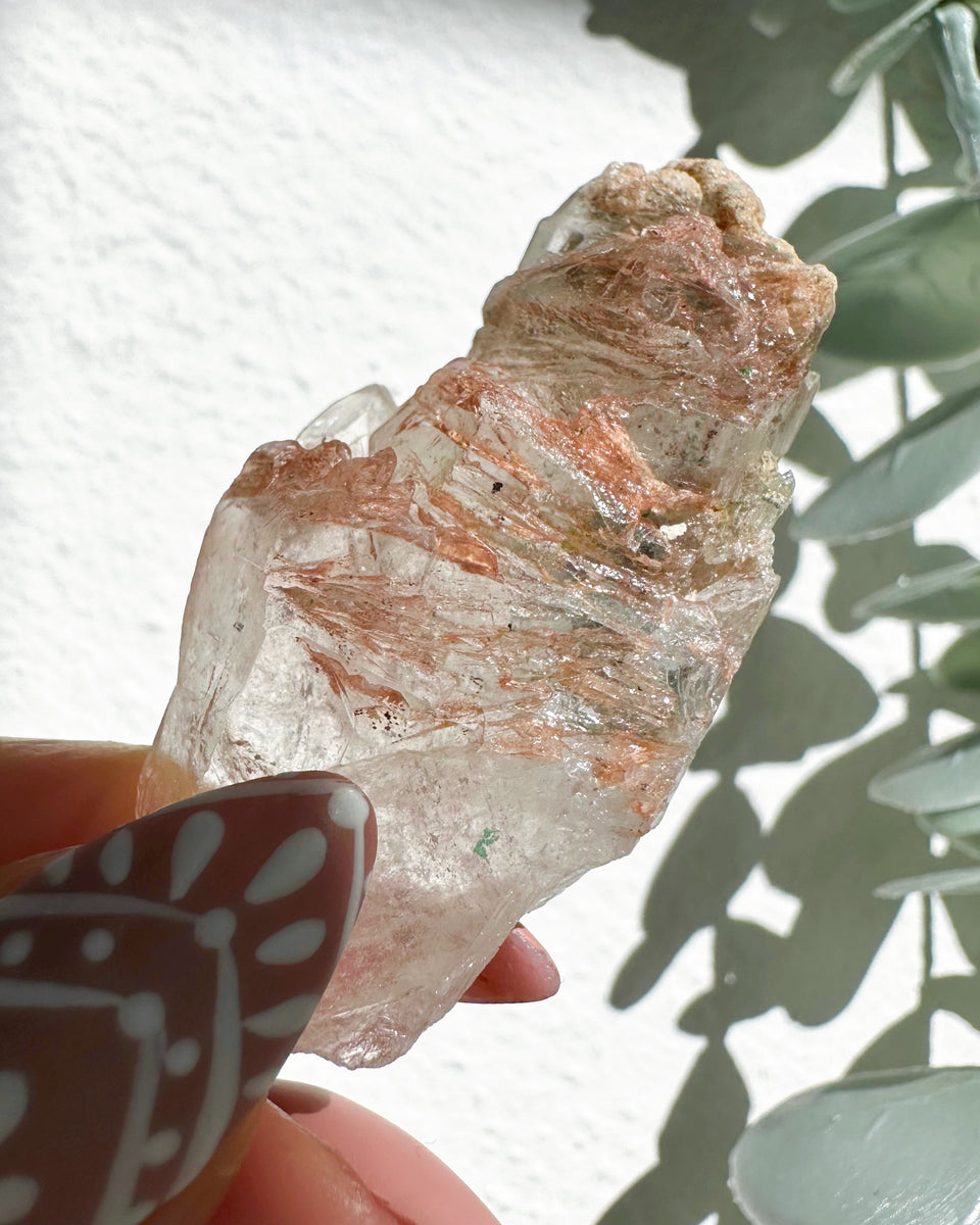 Lemurian Quartz Crystal