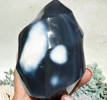 ORCA AGATE | protection | grounding