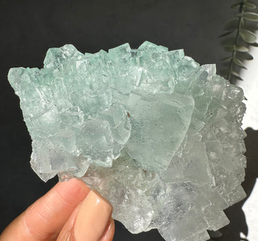 GREEN HALITE | Emotional balance | Purifying