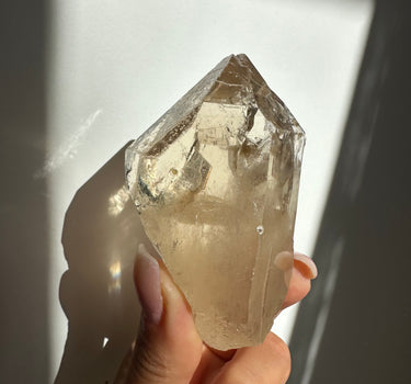 NATURAL CITRINE POINT WITH  MICA (COLLECTION PIECE)Abundance | Transformation