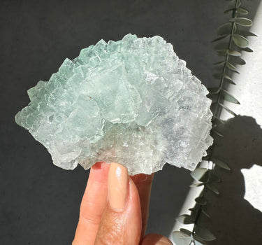 GREEN HALITE | Emotional balance | Purifying