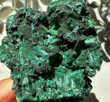 VELVET MALACHITE | protection | transformation