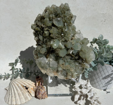 XL CHLORITE QUARTZ WITH EPIDOTE | Connect to nature | transformation