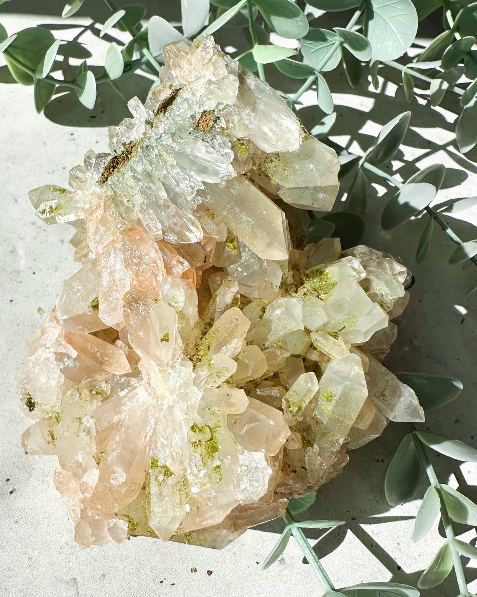 STARBURST CLHORITE QUARTZ CRYSTAL