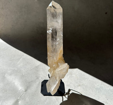 LEMURIAN CLUSTER WITH GOLDEN HEALER INCLUSIONS 
Healing | Cosmic Wisdom